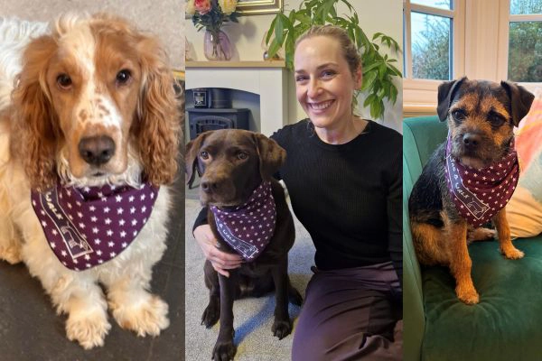 Ride St Francis Sportive (12)