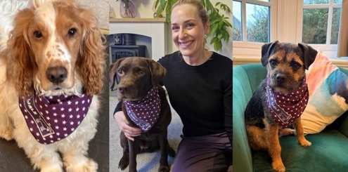 Ride St Francis Sportive (11)