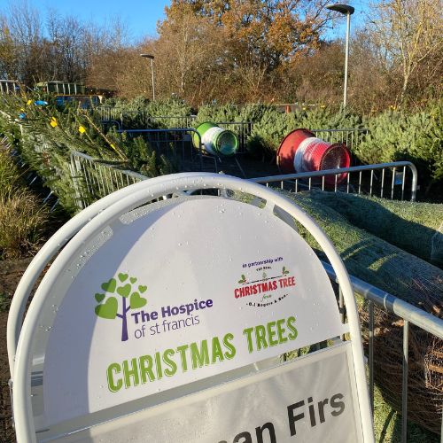 Hospice Christmas Trees for sale