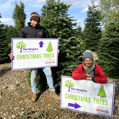 Christmas Trees grown locally