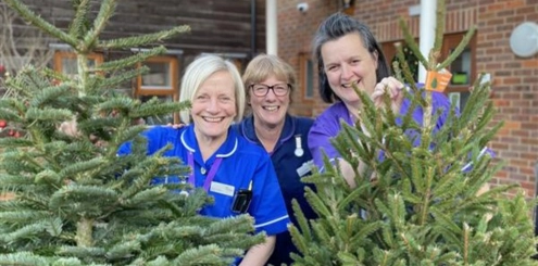Nurses With Trees
