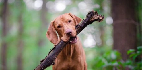 Untitled Design 2026 01 22T114559.836