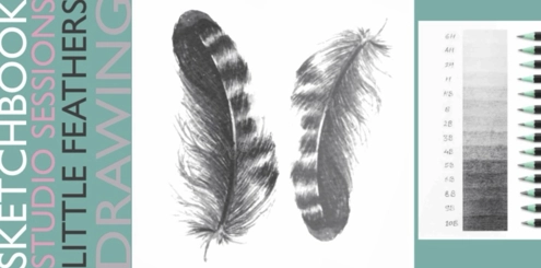 12 (1)