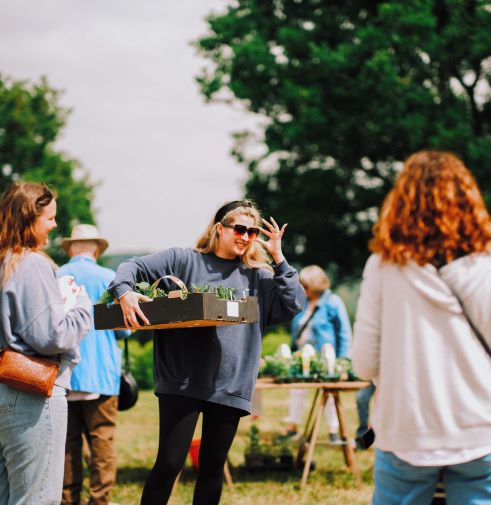 Plant-Sale
