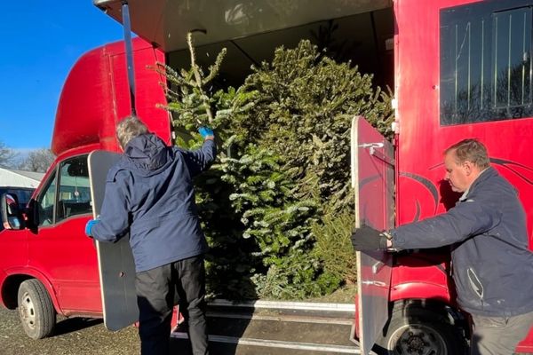 Untitled Design (67)