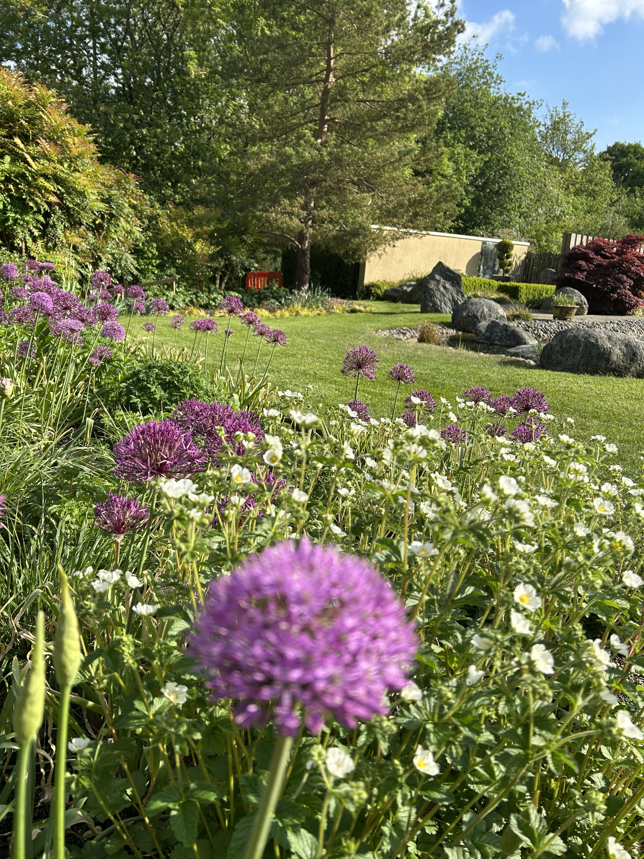 May flowers