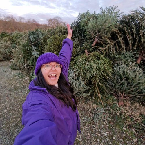 Christmas tree collection