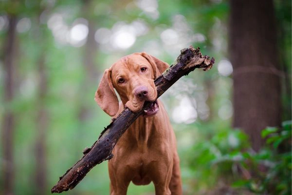 Untitled Design 2026 01 22T114617.513